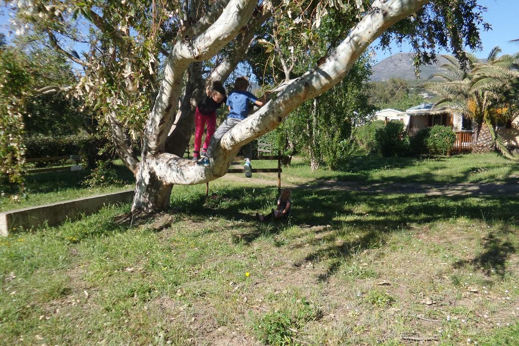 Campsite Mobile U Sole Marinu 3*