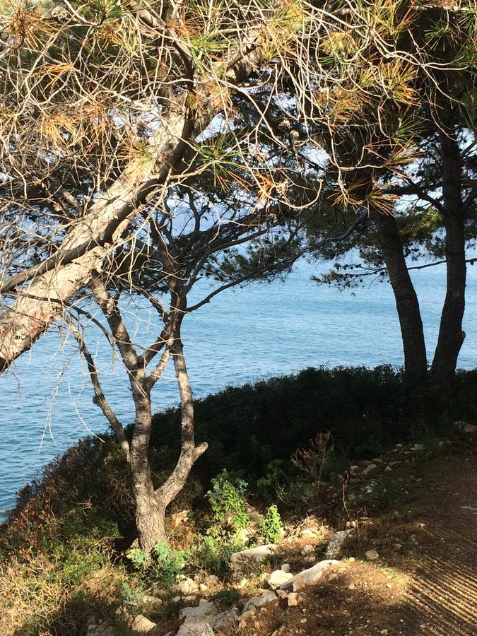 Campsite Mobile U Sole Marinu 3*